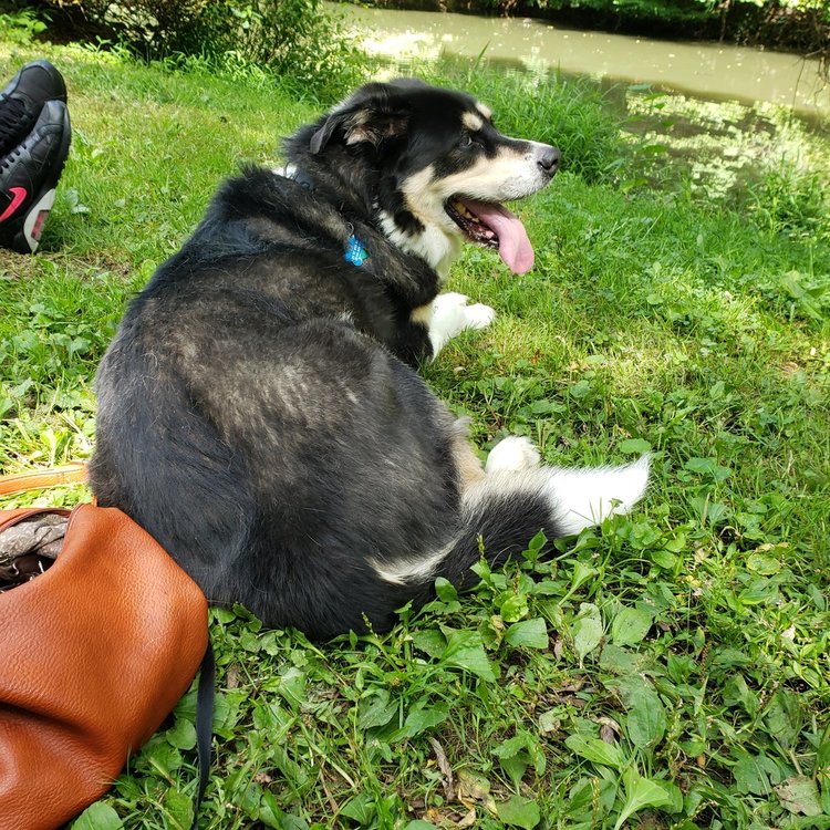 20190824_150056.jpg