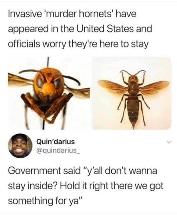 D002EA9C-862C-4199-8717-E07357AA537F.thumb.jpeg.3580bda1ac5c1feeed570ba920754c69.jpeg
