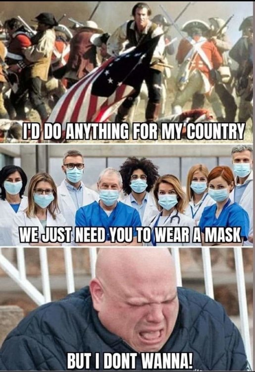 FB_IMG_1589594073096.jpg
