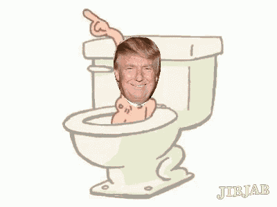295801427_trumpdumpflush.gif.7da8bf013f8f42d7facb4f22d8f22239.gif