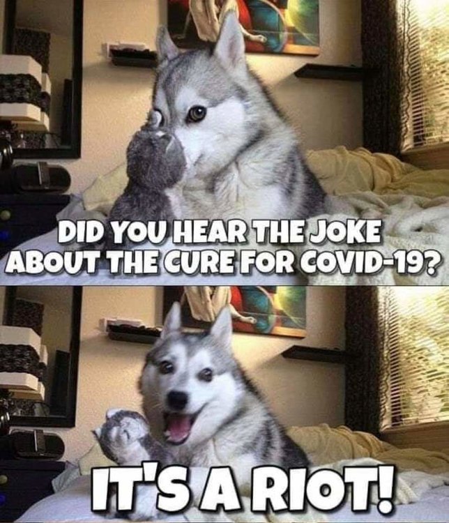 FB_IMG_1591707315470.jpg