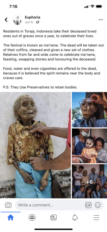 8F8BA8F2-9652-486B-B1BC-039E870FE977.png