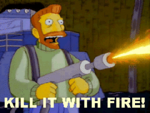 kill-it-with-fire.gif.b1dbb57a99746a2f55155cae6b6b6f1f.gif
