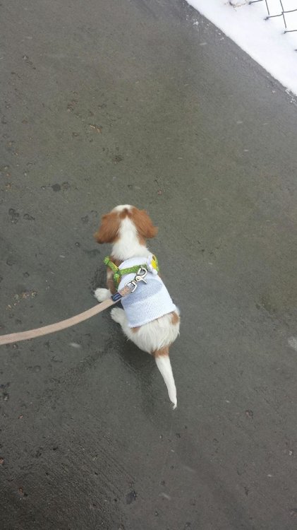 2015012195123413.thumb.jpg.ca3ae106e2ade0f5c25b4b8e8f57c710.jpg