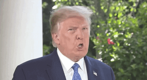 161470556_personwomanmancameratv.gif.5d44d5de2a51ebba74f63b652643478e.gif