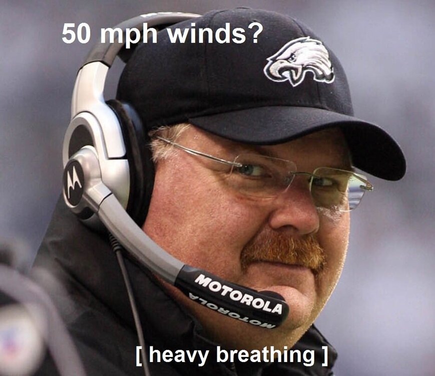 andy.jpg