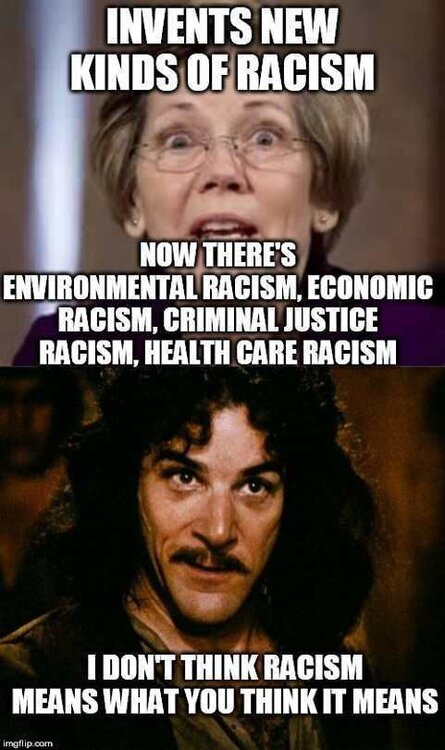 elizabeth-warren-invents-new-kinds-of-racism-dont-think-it-means-what-you-think-it-means.jpg