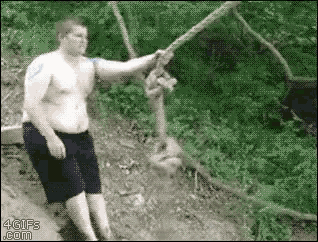 1344778681_tenor(7).gif.ba7e3e9e27a4505c46e183d278ded028.gif