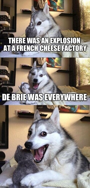 316d383661eeff19f5378b2f9b23f939--bad-puns-bad-pun-dog-meme.jpg