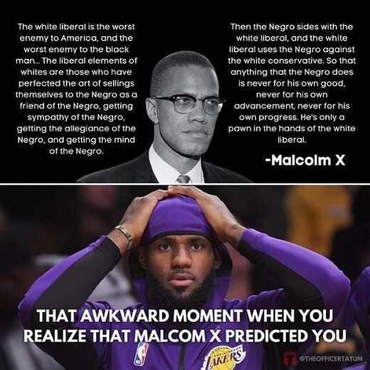 quote-malcolm-x-white-liberal-taking-advantage-lebron-james-types.jpg