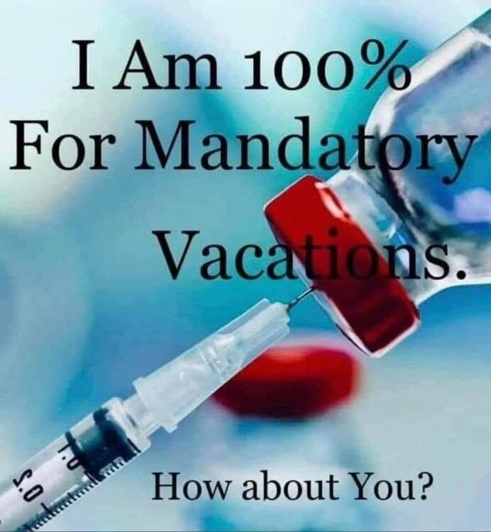 FB_IMG_1607394729396.jpg
