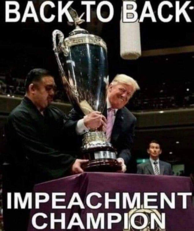 FB_IMG_1613313585533.jpg