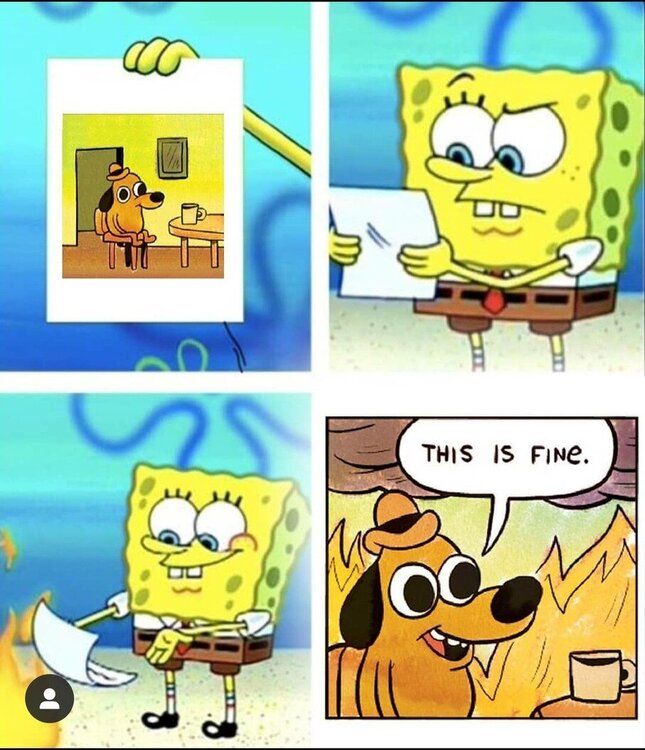 5ee8e9130deb6.jpeg