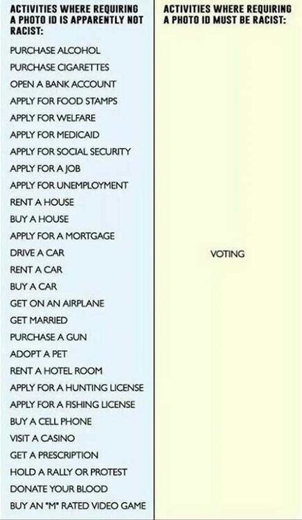 voter-id-laws-racist-food-stamps-driving-fishing-alcohol-tobacco-all-require-IDs.jpg
