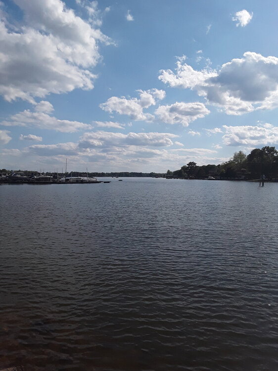 20210418_170558.jpg