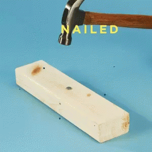 nailed.gif.d3c4bd82adeb8b195431d1b9d84570f0.gif