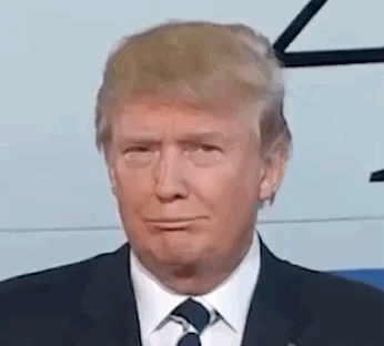 356856047_TrumpBlah.gif.5872bb5e5cef861c6b2c3edb0e2a9490.gif