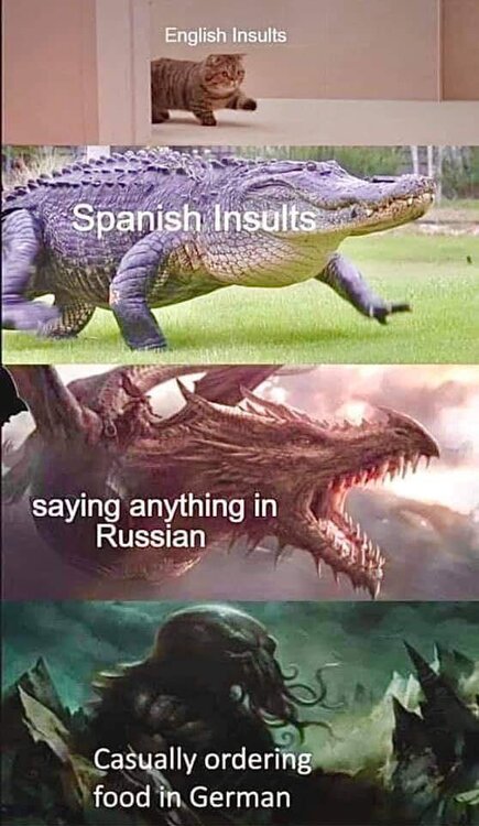 image.thumb.jpeg.96d25219ec06e80f5f24b77a0de2e1f7.jpeg
