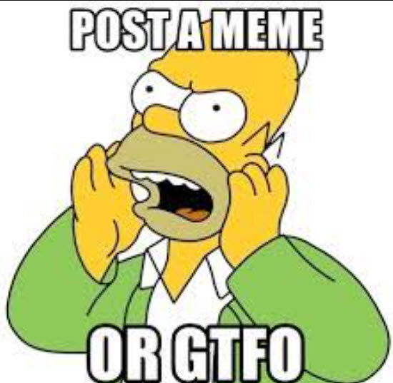 meme.jpg.770ba6eef1fb3dbbfbbb0c9f53b6a893.jpg