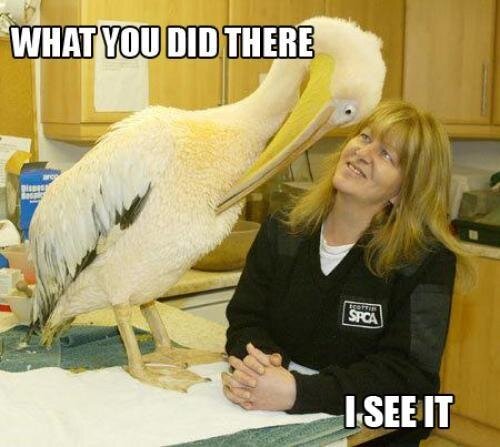 what-you-did-there-i-see-it.thumbnail.jpg.7c3df416081245ff6e6adc93b0504187.jpg
