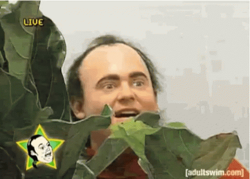 1120956421_tenor(30).gif.bb1d6eeff8eb91ad062133909d4c95c6.gif