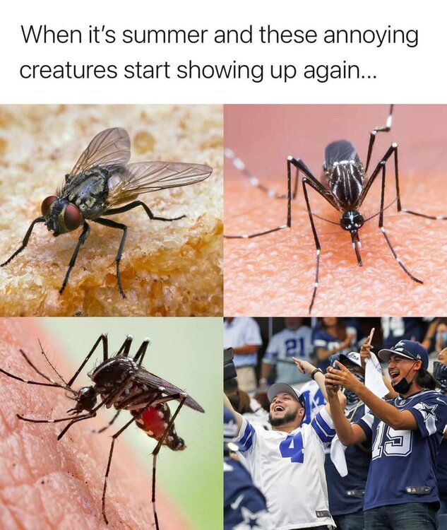 FB_IMG_1625268140774.jpg