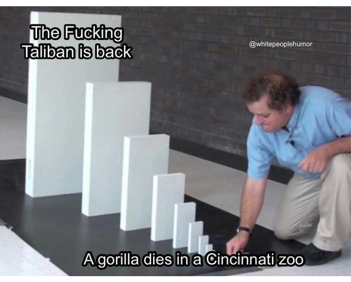 20210815_223733.png.e04c60d5a6bfdfea724596f4f6484b24.png
