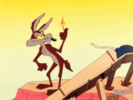 image.gif.53c9ff2337c8199c94bc271469032577.gif