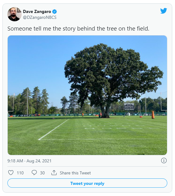 zangaro2.PNG.02dbdb42d58ac64f43b207d5f6a6e375.PNG
