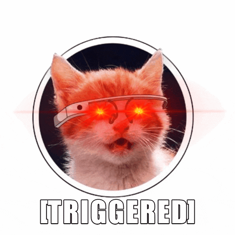 image.gif.1cc4b44b922708abc67c8632f683a738.gif
