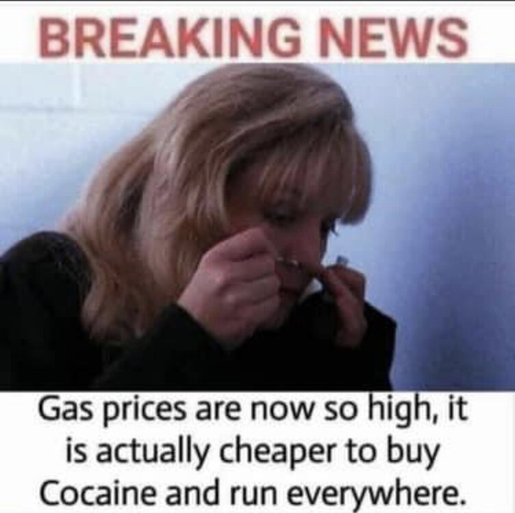 27559420-7F79-4CFC-9FC9-F2D77F1B9EFA.jpeg