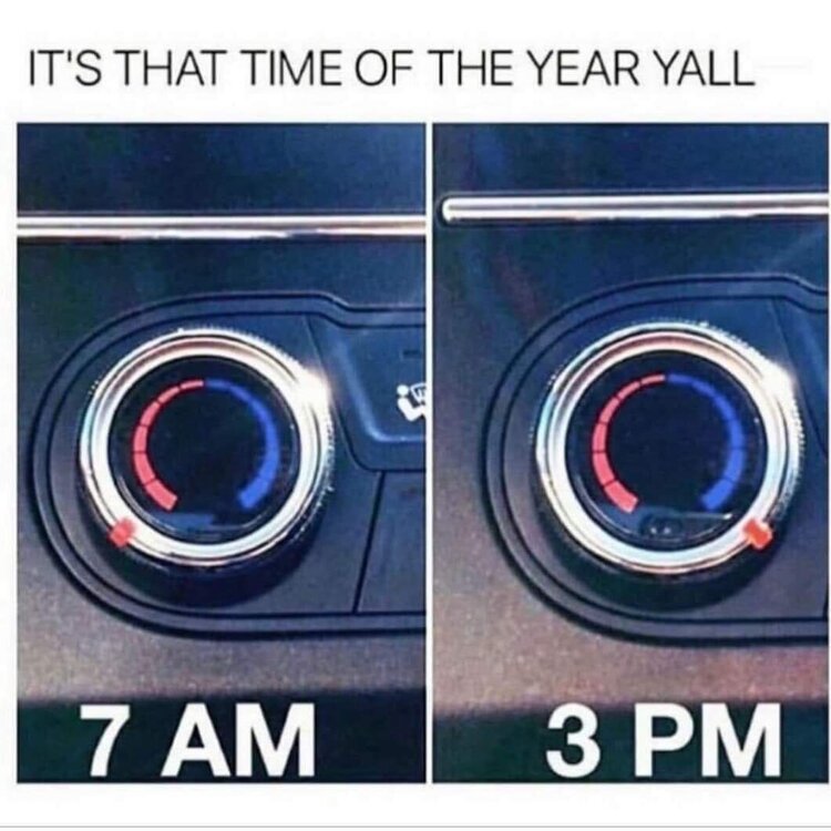 FB_IMG_1634652937454.jpg