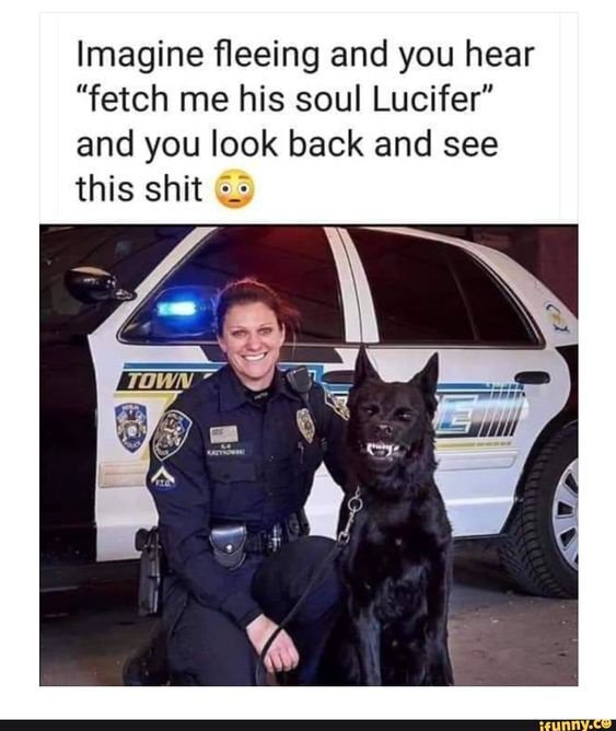 image.jpeg.f6f886045bbe52e8586da5d09ea046dd.jpeg