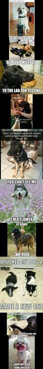 image.thumb.jpeg.d14ba831057242cfc6590cb6008cd5f9.jpeg