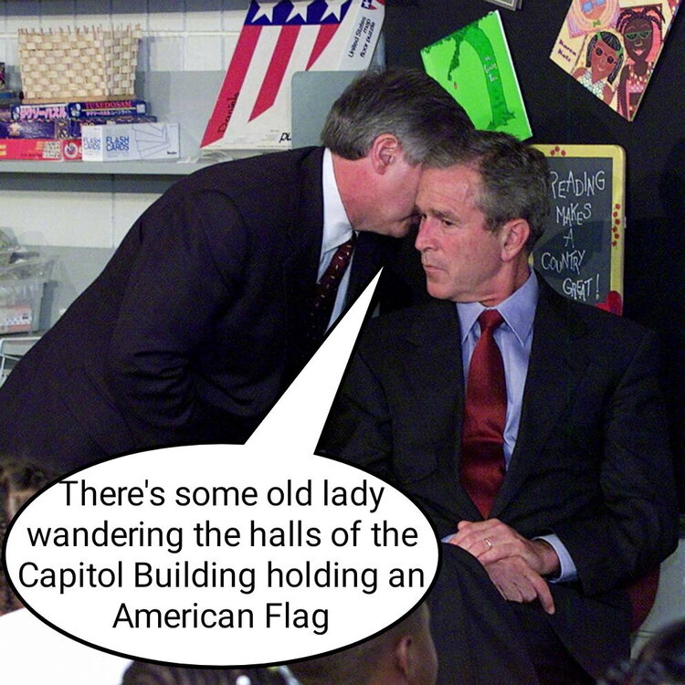 AP-bush-911-er-1706021_hpMain_1_1x1_992-picsay.jpg