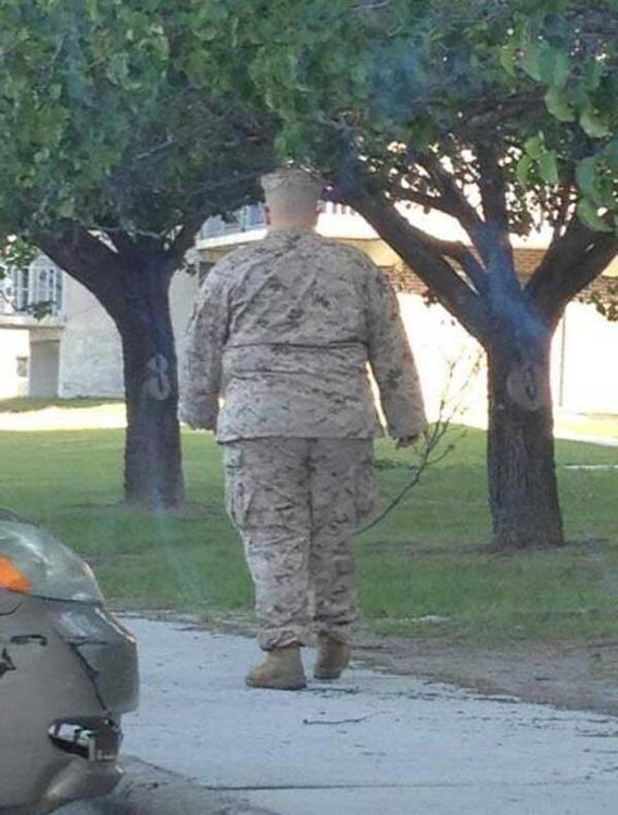 fatmarine.jpg