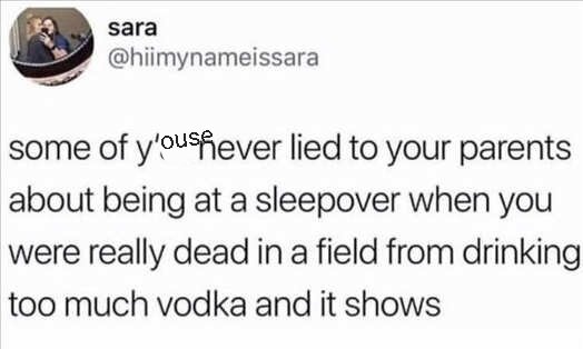 tweet-lied-sleepover-dead-field-vodka.jpg.02256f1f31367945d7db3d720416a4ab.jpg
