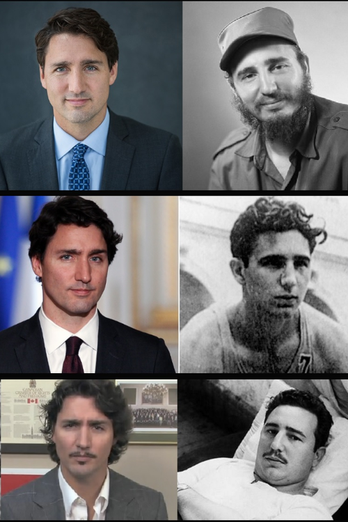 1_89DTzg7OzvLrnc8cyAsUSw.thumb.png.8e4631497de6d72754f6d58177e509f4.png