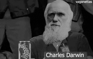 Darwin.gif.24ad377e58ce0169a8d97da8e3086cc5.gif