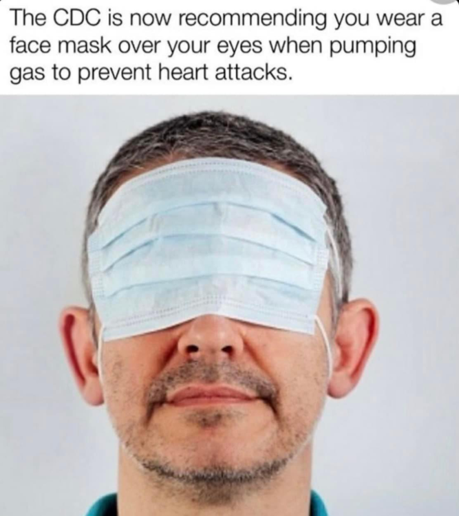 image.thumb.png.972b0f4c84e3e6951de39bb8fd45325a.png