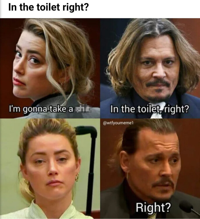 Johnny-Depp-Amber-Heard-Memes-45.jpg
