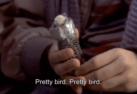 image.gif.bdabcbceb7e02ed3ff00a51d26d2a7f0.gif