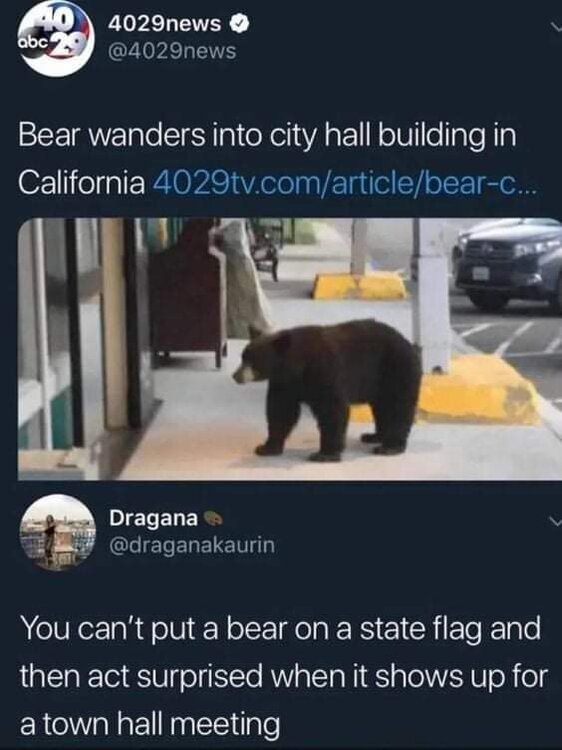 image.thumb.jpeg.583f765faa32a241e8ceaa557c91b223.jpeg