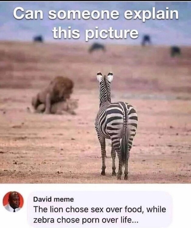 F4E230C5-E42D-44FB-B201-33A28FAF18FC.thumb.jpeg.ea83509edd97ffa5dc4bd26e78138757.jpeg