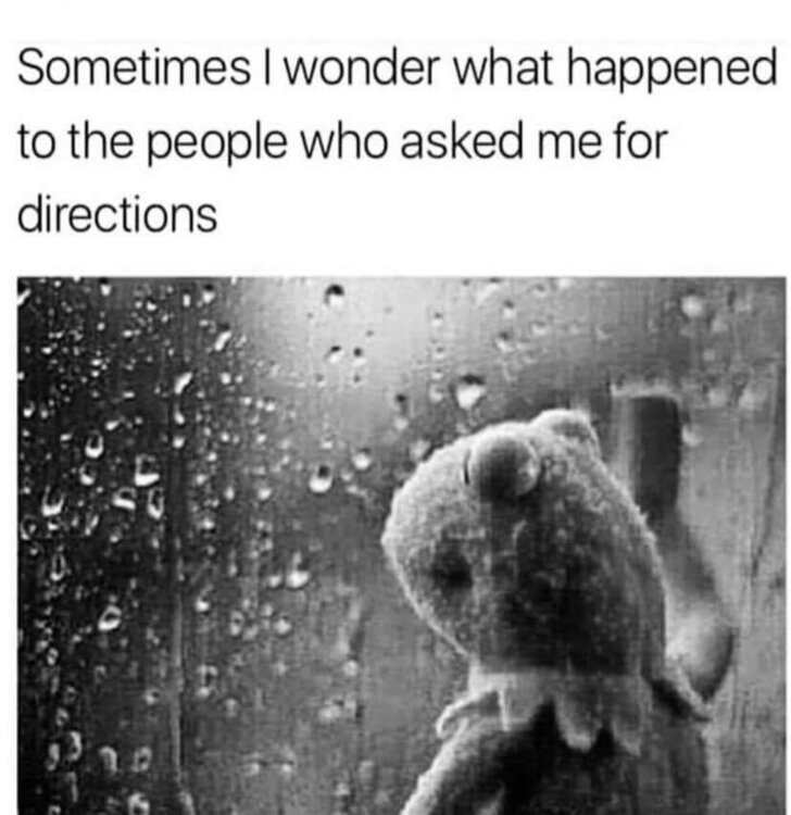 FB_IMG_1655995056009.thumb.jpg.05dc8c3b159b20a29aca054b89dc3013.jpg