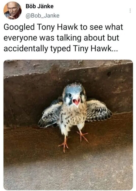 Screenshot_20220618-194652_Reddit.thumb.jpg.422963e9dc535af9c9ce07b9ef30968f.jpg