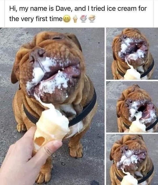 image.jpeg.5b30899ee84cb106ed4b0277917da0f2.jpeg