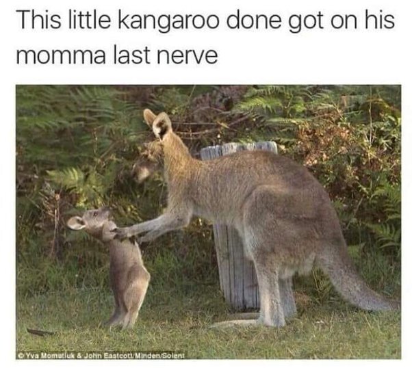 image.jpeg.603241c9c8f6047abd01a770484e77ff.jpeg