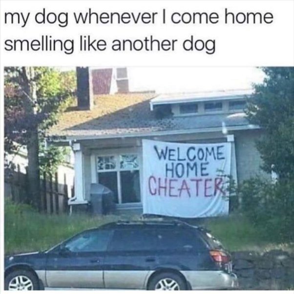 image.jpeg.90994b2d754516f0dd2b6510bf6b3177.jpeg