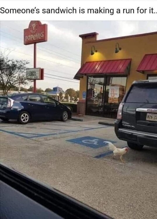 image.thumb.jpeg.e9037ed6946d652f827881f5d387da39.jpeg